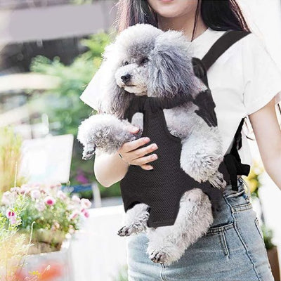 Femme portant son chien dans sac a dos  chien Kangourou noir