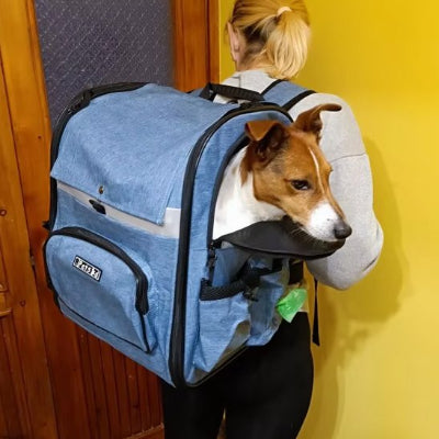 Femme portant sur son dos son chien dans sac à dos chien  Liberté bleu