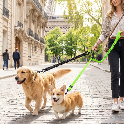 femme promenant ses chiens en laisse double pour chien Dual control vert