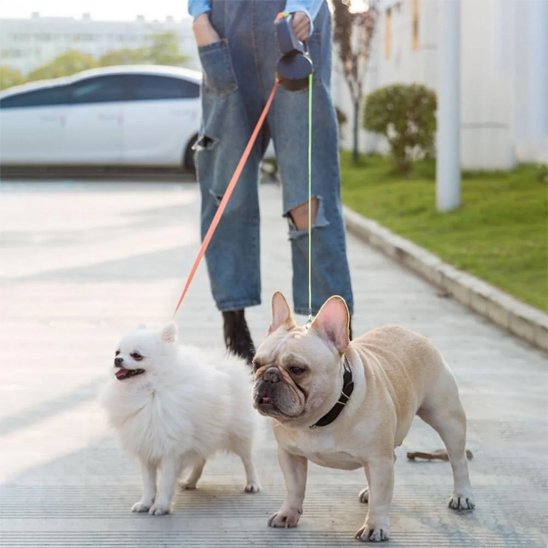 Femme promenant ses deux chiens en double laisse pour chiens Duo enrouleur noir