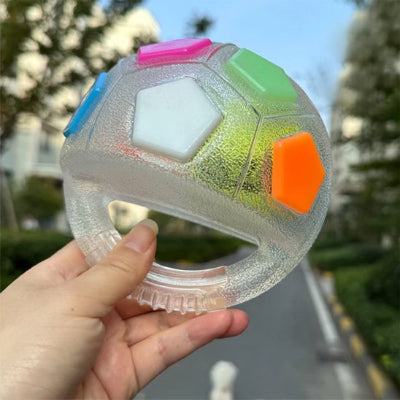Femme qui montre un jouet chien Color Ball Blanc dans la rue