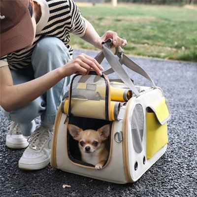 Femme regardant son petit chien dans sac transport Chien Caravane jaune