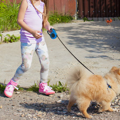 fillette promenant son chien en laisse pour chien