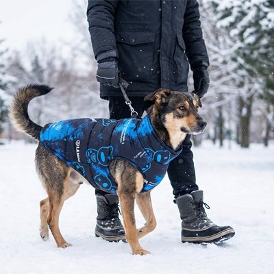 Gros chien dans la neige en chien manteau Protection active bleu