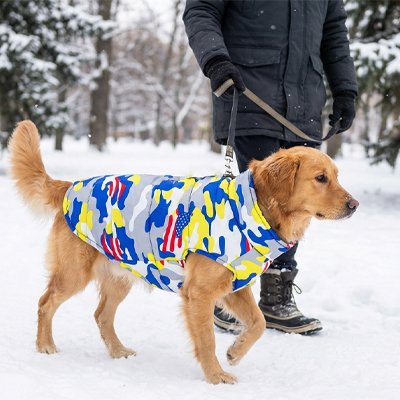 Gros chien en balade dans la neige avec manteau chien Cani Protect blanc