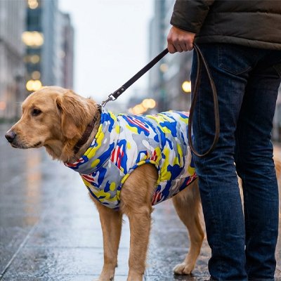 Gros chien en ville avec manteau chien Cani Protect Camouflage