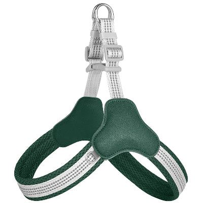 harnais chien Lily vert