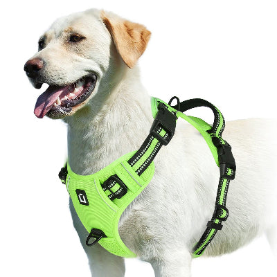 harnais chien anti traction Tactique Pro Vert