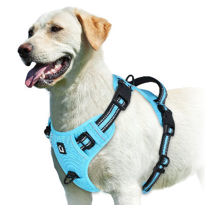harnais chien anti traction Tactique Pro bleu