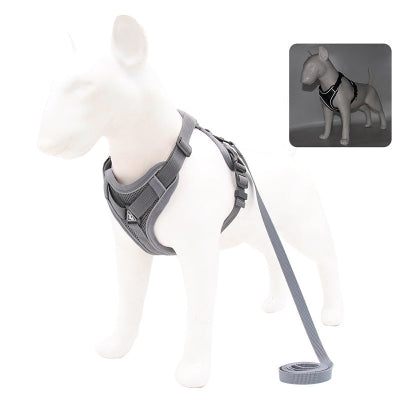 harnais chien anti traction gris