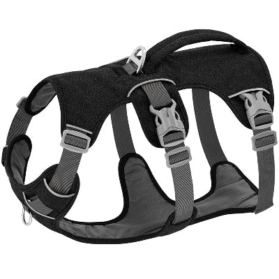 harnais pour chien Evasion noir