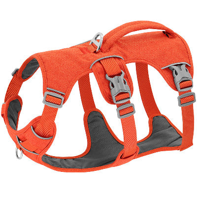 harnais pour chien Evasion orange