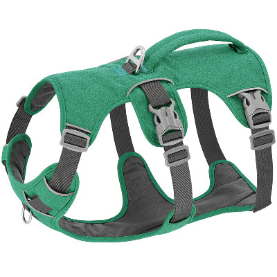 harnais pour chien Evasion vert