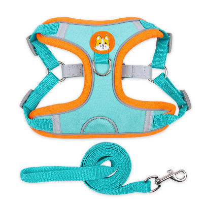 Harnais pour chien Douce patte bleu