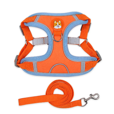 Harnais pour chien Douce patte orange