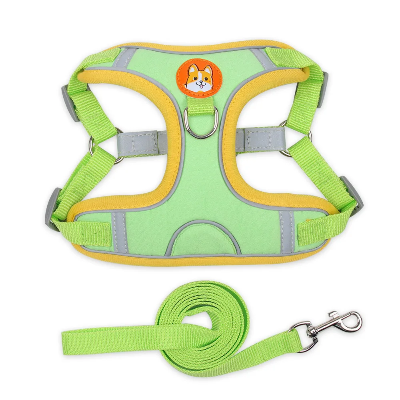 Harnais pour chien Douce patte vert
