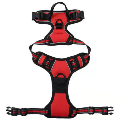 Harnais pour chien Easywalk rouge