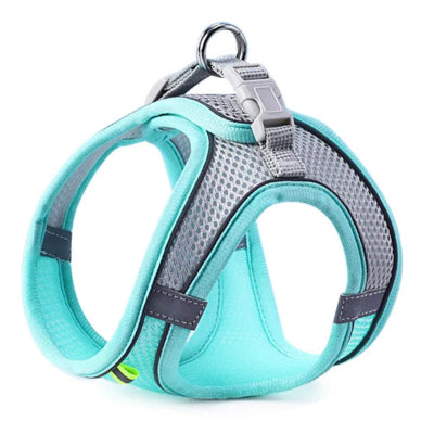 harnais pour petit chien Douceur bleu