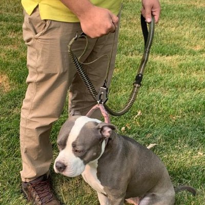 homme avec chien assis en laisse pour chien beige