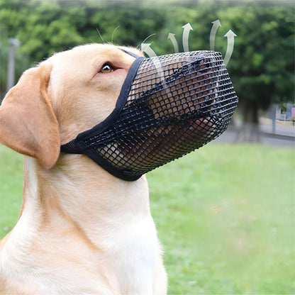 Muselière chien | AirCalm