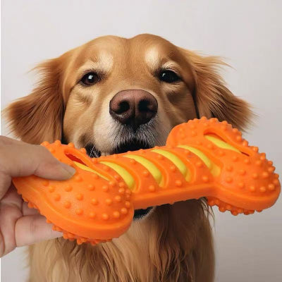 Jouet indestructible pour chien DentiJouet Orange