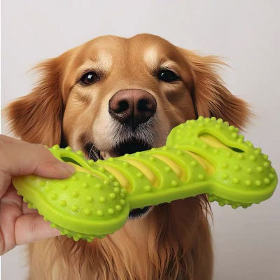 Jouet indestructible pour chien DentiJouet Vert