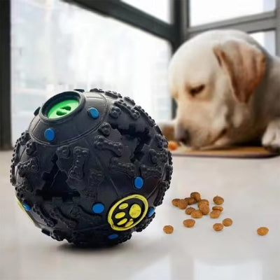 Jouet pour chien Balle Os devant un chien