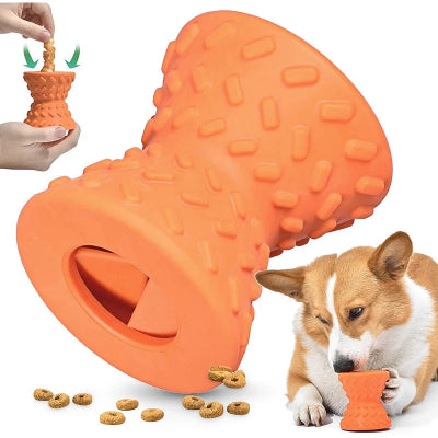Jouets chien
