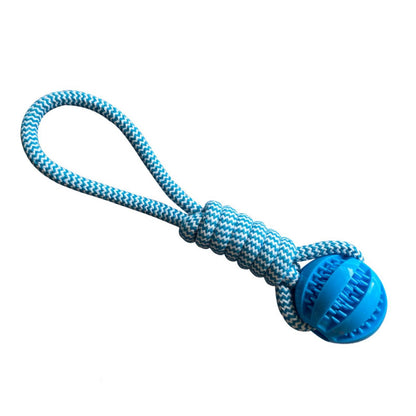 Jouets pour chien Balle Corde bleu