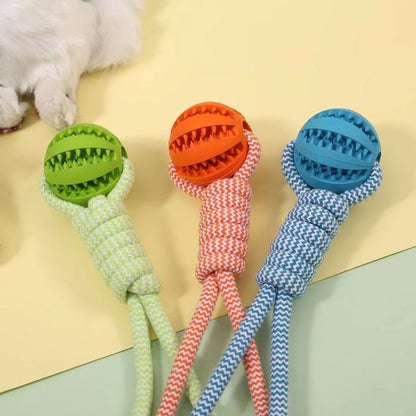 jouets pour chien Balle Corde vert, orange, bleu 