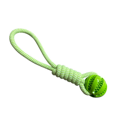 Jouets pour chien Balle Corde vert