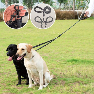 laisse double pour chien avec chiens heureux assis