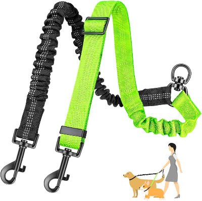 laisse double pour chien bicolore noire verte