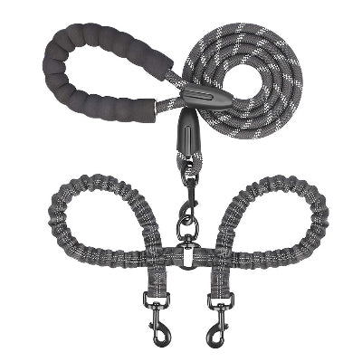 laisse double pour chien gris et noir