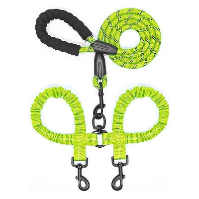 laisse double pour chien vert et noir