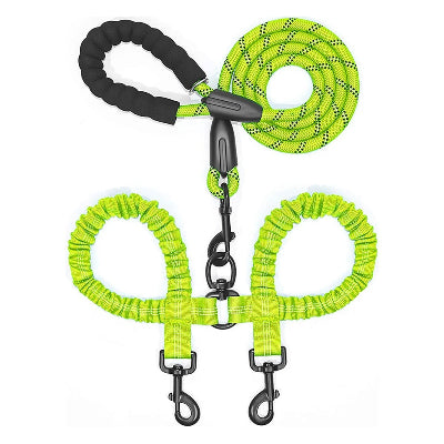 laisse double pour chien vert