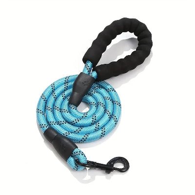 laisse pour chien bicolore bleue