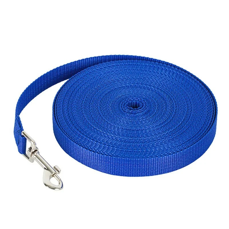laisse pour chien enroulee bleue