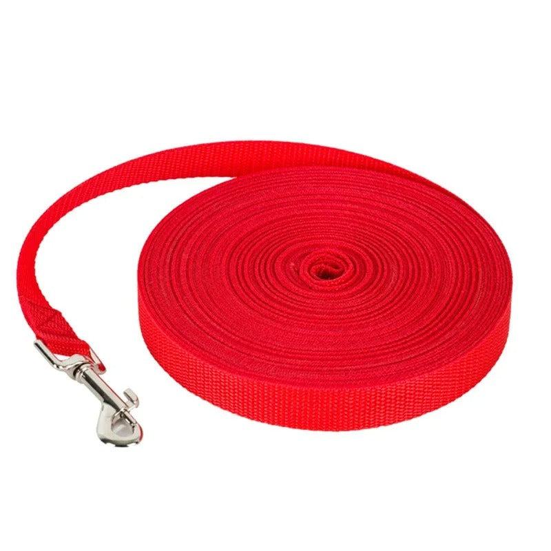laisse pour chien enroulee rouge