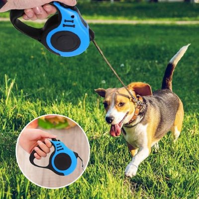 Laisse pour chien | Rétractable Freedom - Toutou et moi
