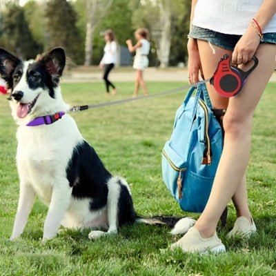 Laisse pour chien | Rétractable Freedom - Toutou et moi