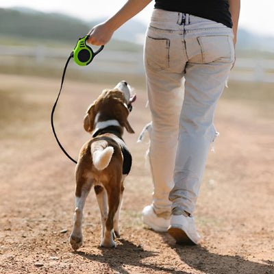 Laisse pour chien | Rétractable Freedom - Toutou et moi