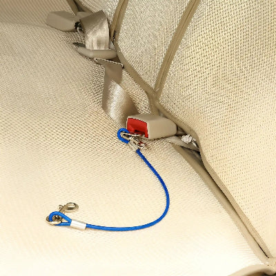 laisse pour chien voiture attachée bleu