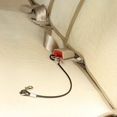 laisse pour chien voiture attachee