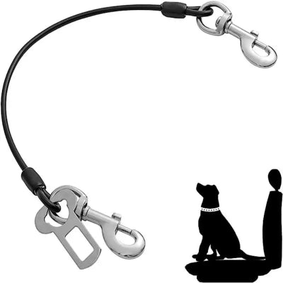 laisse pour chien voiture noire