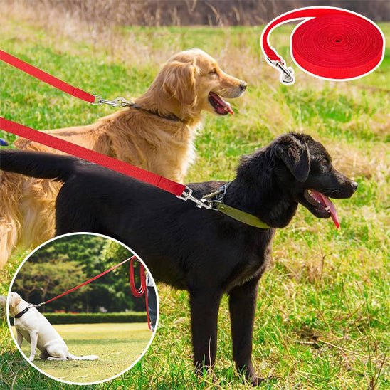 laisse pour chien - Zita ™ - Toutou et moi