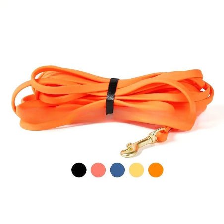 Laisse pour chien/Dogleash - Toutou et moi
