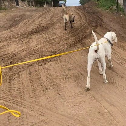 Laisse pour chien/Dogleash - Toutou et moi