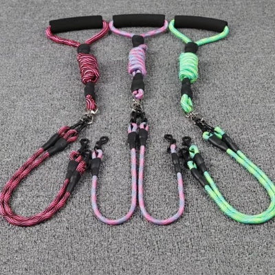 les trois couleurs de la laisse double pour chien