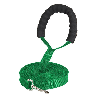 longe chien Explorateur vert